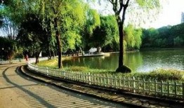 大渡口最新爆料,揭秘城市变迁背后的故事